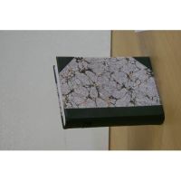 IMG_9730_z
